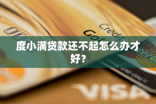 度小满贷款还不起怎么办才好? 度小满贷款还不起怎么办才好?