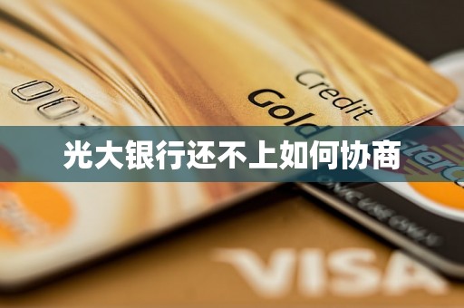 光大银行还不上如何协商