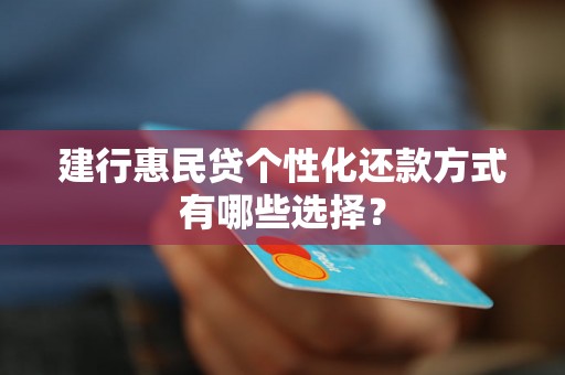 建行惠民贷个性化还款方式有哪些选择？