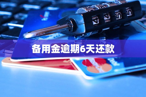 备用金逾期6天还款 备用金逾期6天还款