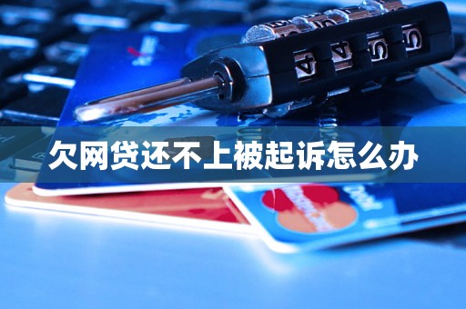 欠网贷还不上被起诉怎么办