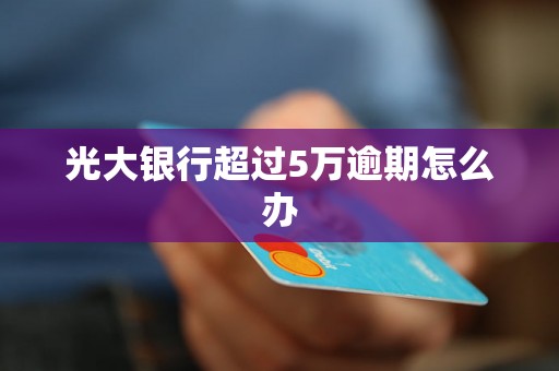光大银行超过5万逾期怎么办