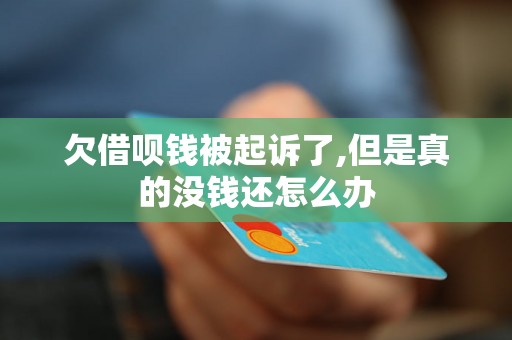 欠借呗钱被起诉了,但是真的没钱还怎么办