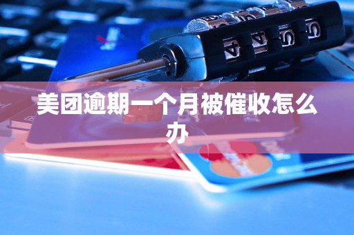 美团逾期一个月被催收怎么办