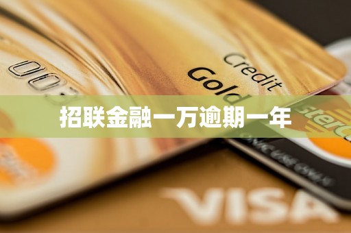 招联金融一万逾期一年 招联金融一万逾期一年
