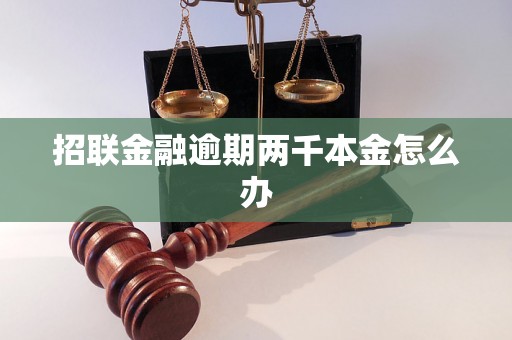 招联金融逾期两千本金怎么办 招联金融逾期两千本金怎么办