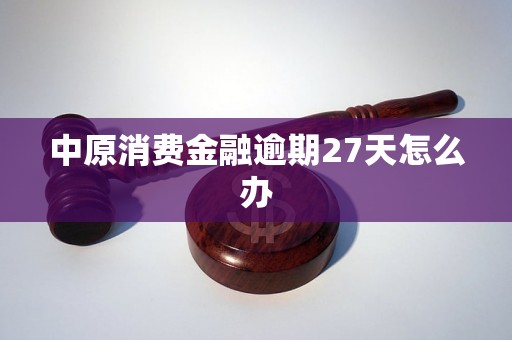 中原消费金融逾期27天怎么办