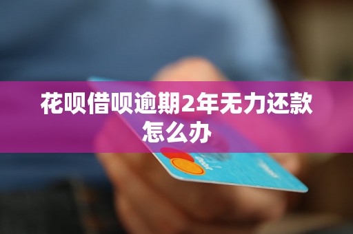 花呗借呗逾期2年无力还款怎么办
