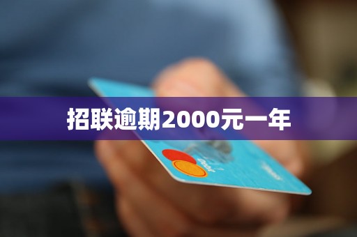 招联逾期2000元一年
