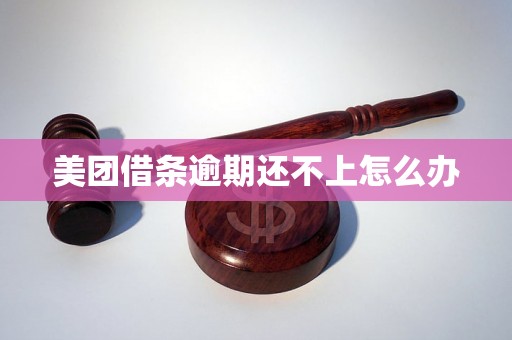 美团借条逾期还不上怎么办