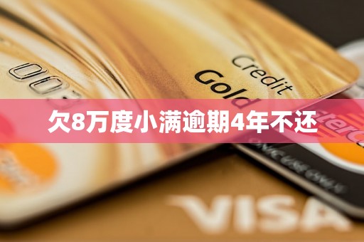 欠8万度小满逾期4年不还