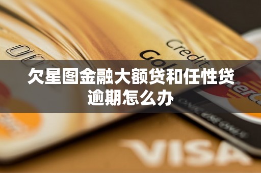 欠星图金融大额贷和任性贷逾期怎么办