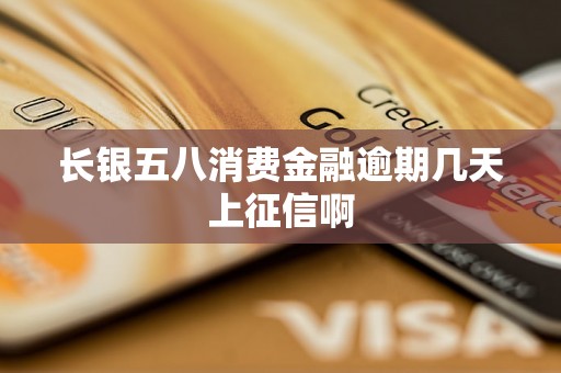 长银五八消费金融逾期几天上征信啊