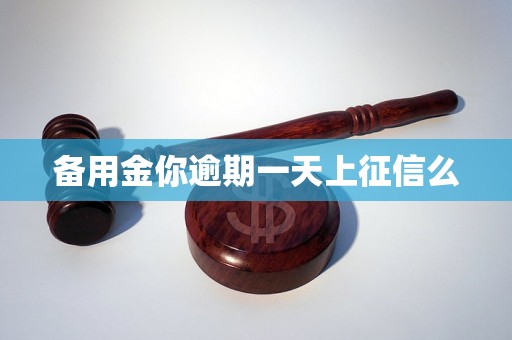 备用金你逾期一天上征信么 备用金你逾期一天上征信么