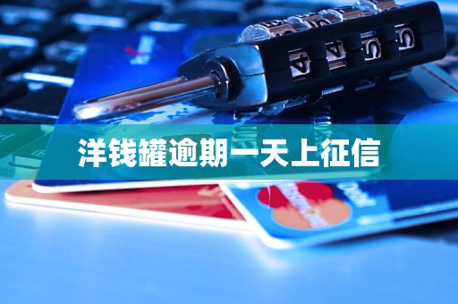 洋钱罐逾期一天上征信
