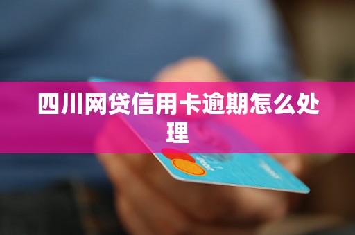 四川网贷信用卡逾期怎么处理 四川网贷信用卡逾期怎么处理