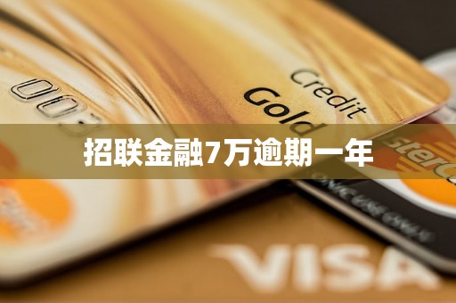 招联金融7万逾期一年