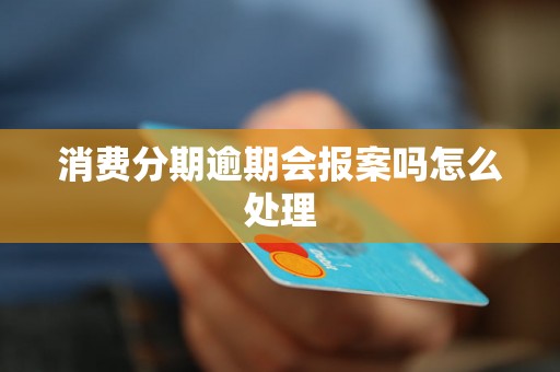 消费分期逾期会报案吗怎么处理