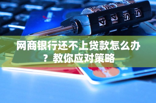 网商银行还不上贷款怎么办？教你应对策略