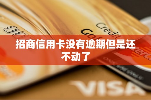 招商信用卡没有逾期但是还不动了 招商信用卡没有逾期但是还不动了