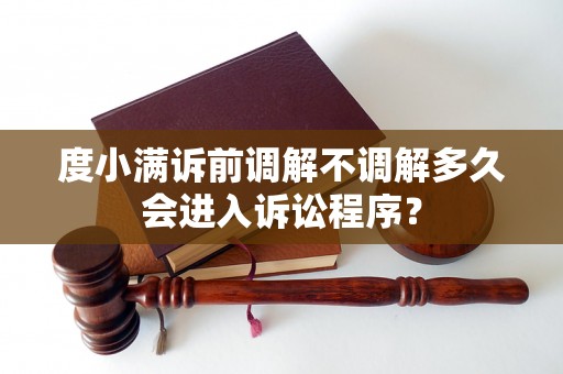 度小满诉前调解不调解多久会进入诉讼程序？