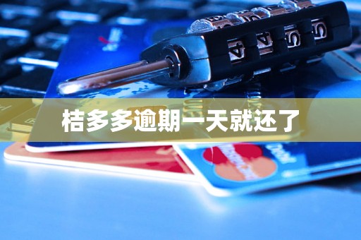 桔多多逾期一天就还了