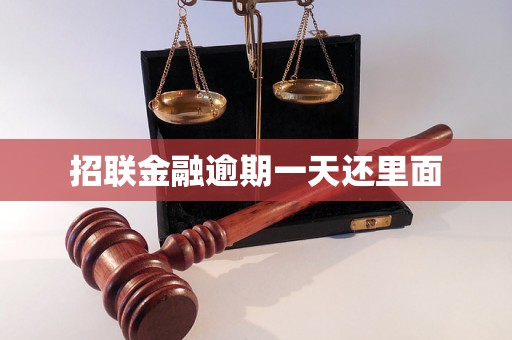 招联金融逾期一天还里面
