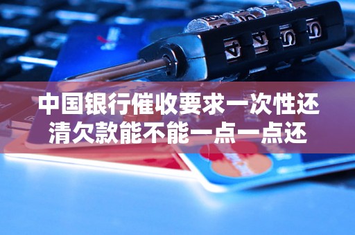 中国银行催收要求一次性还清欠款能不能一点一点还