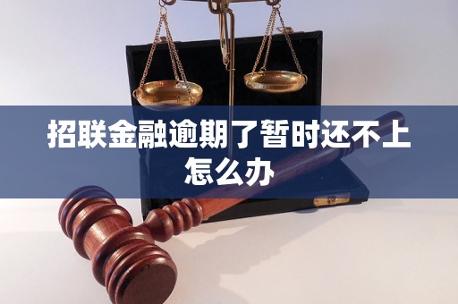 招联金融逾期了暂时还不上怎么办