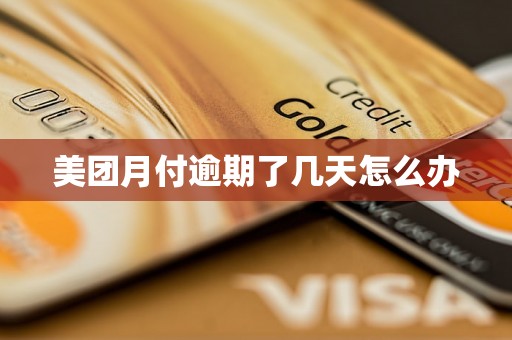 美团月付逾期了几天怎么办
