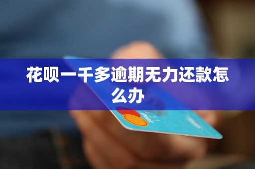 花呗一千多逾期无力还款怎么办