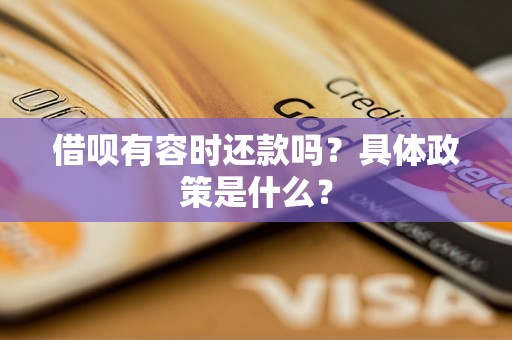 借呗有容时还款吗？具体政策是什么？