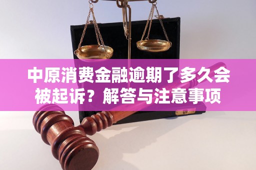 中原消费金融逾期了多久会被起诉？解答与注意事项