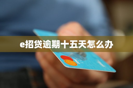 e招贷逾期十五天怎么办