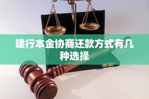 建行本金协商还款方式有几种选择