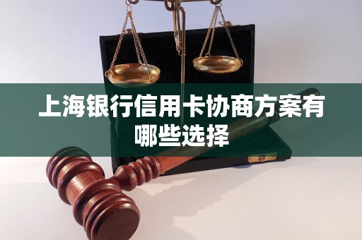 上海银行信用卡协商方案有哪些选择