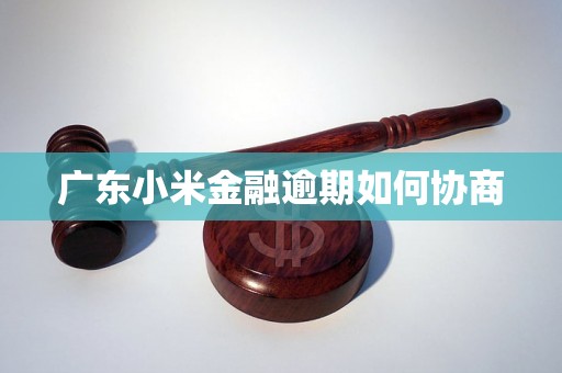 广东小米金融逾期如何协商