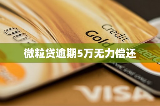 微粒贷逾期5万无力偿还