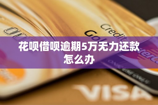 花呗借呗逾期5万无力还款怎么办