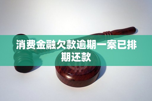 消费金融欠款逾期一案已排期还款