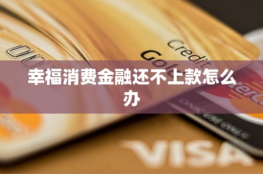 幸福消费金融还不上款怎么办