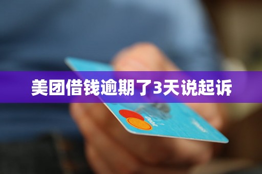 美团借钱逾期了3天说起诉