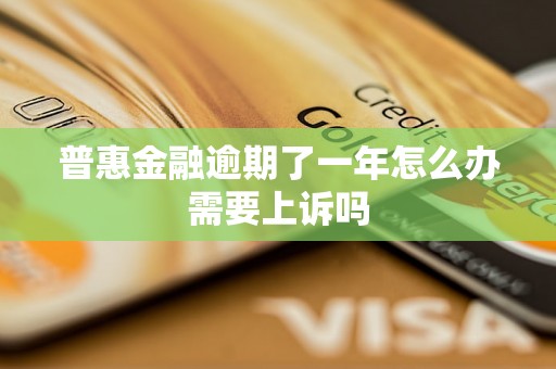 普惠金融逾期了一年怎么办需要上诉吗
