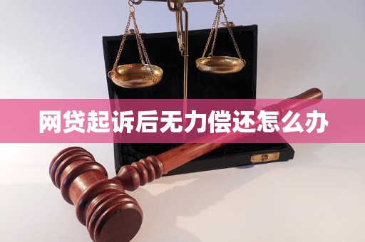 网贷起诉后无力偿还怎么办