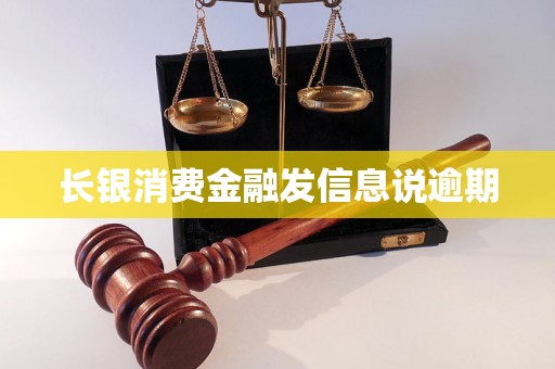 长银消费金融发信息说逾期