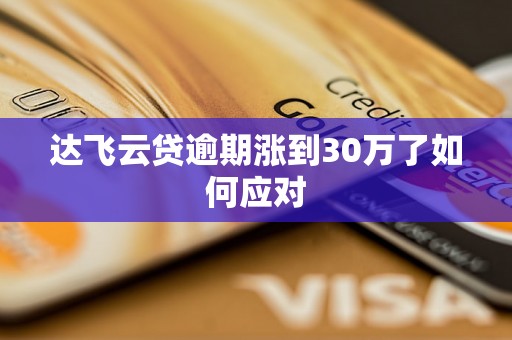 达飞云贷逾期涨到30万了如何应对