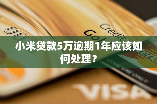 小米贷款5万逾期1年应该如何处理？