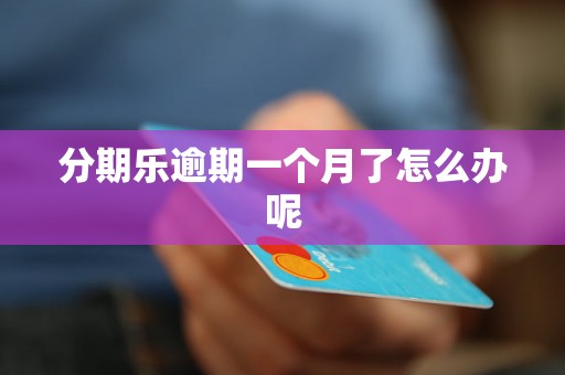 分期乐逾期一个月了怎么办呢