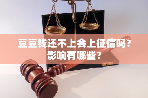 豆豆钱还不上会上征信吗？影响有哪些？
