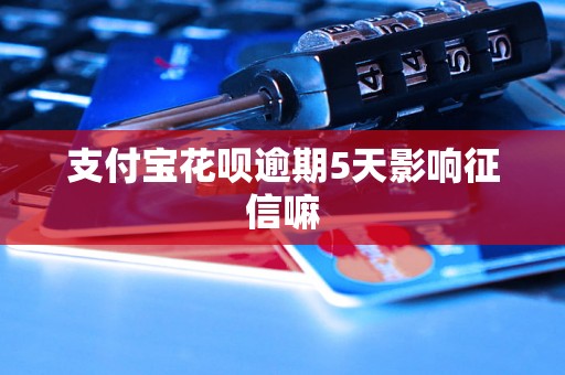 支付宝花呗逾期5天影响征信嘛 支付宝花呗逾期5天影响征信嘛